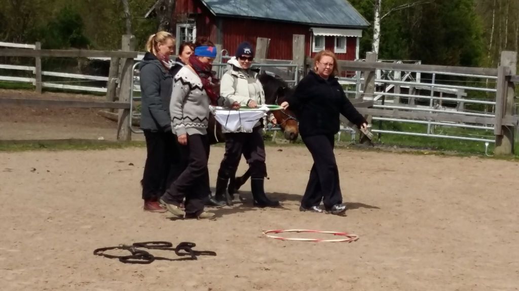 Eläinavusteinen työnohjaus sopii erityisesti vaativaa vuorovaikutus- ja asiakastyötä tekeville henkilöille. Työohjauksessa tutkitaan, jäsennetään ja kehitetään työtäsi ja tapojasi tehdä sitä luotettavan valmentajan ja rinnalla kulkevan eläimen kanssa. Kyse on omaan työrooliin ja työyhteisöön liittyvien vuorovaikutussuhteiden, kokemusten ja tunteiden tutkimisesta ja jäsentämisestä suhteessa itseesi ja muihin.